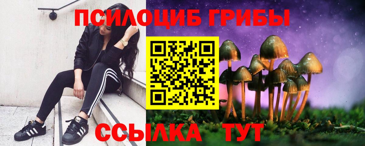 Псилоцибиновые грибы прущие грибы Баксан