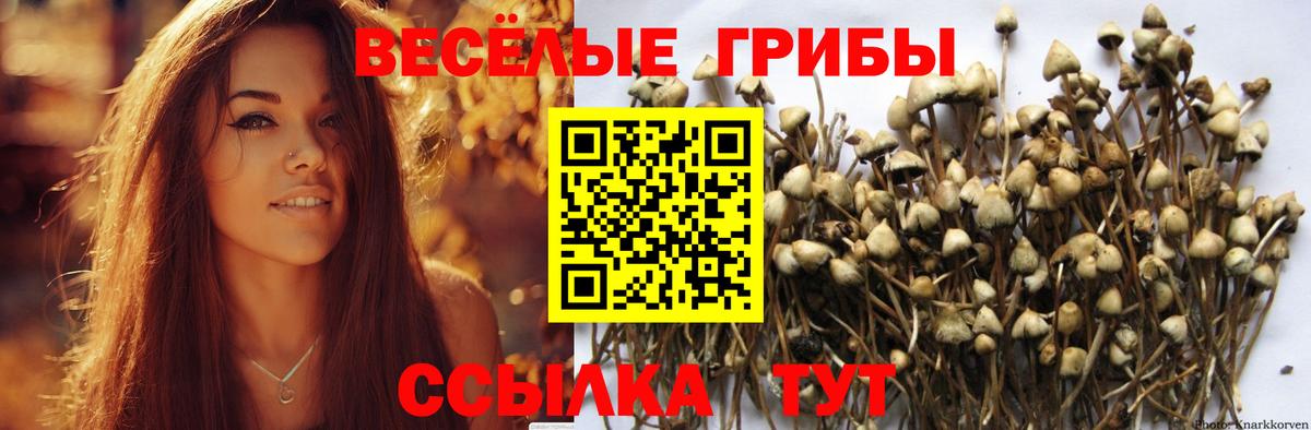  COCAIN Баксан